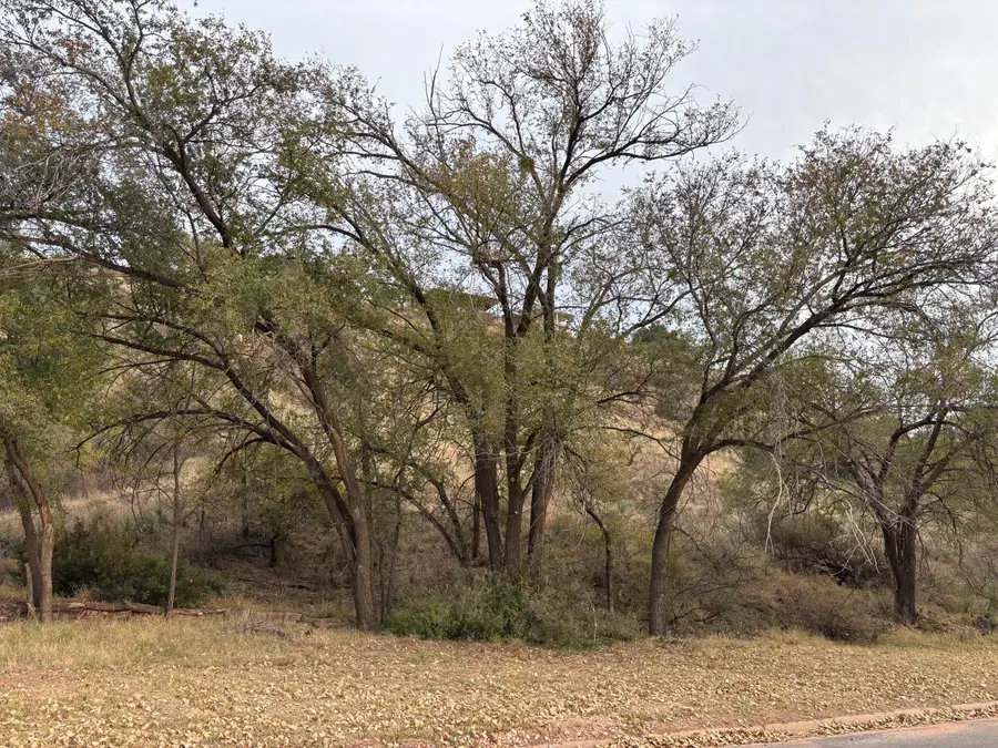 70 E Lakeshore Drive, Ransom Canyon, TX 79366 - Image #2