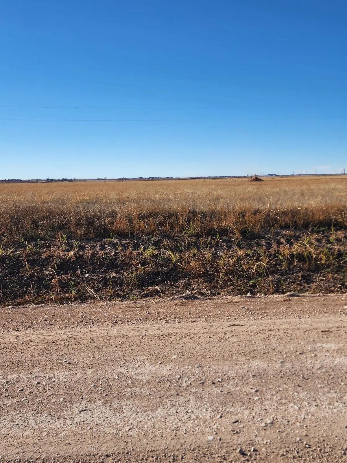 1716 Hawk Road, Levelland, TX 79336 - Image #1