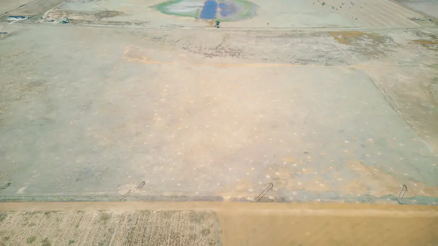 Fm Highway 54 / Tract 9, Abernathy, TX 79311 - Image #2