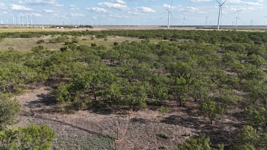 0 Sh 153, Sweetwater, TX 79556 - Image #3