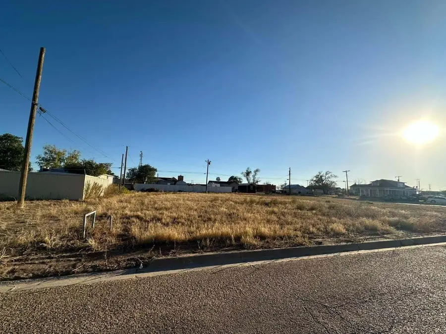 216 W Lake Street, Brownfield, TX 79316 - Image #2