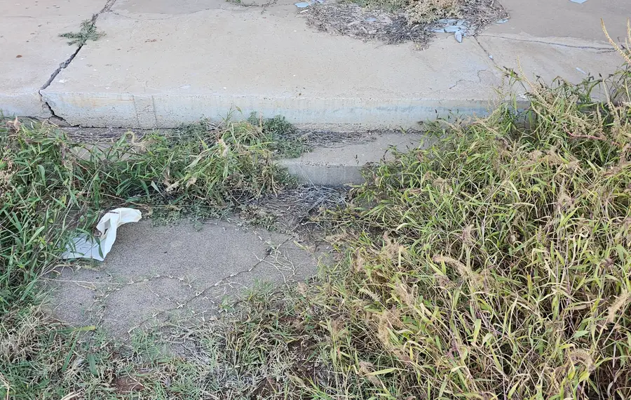 1704 Avenue O, Lubbock, TX 79401 - Image #3