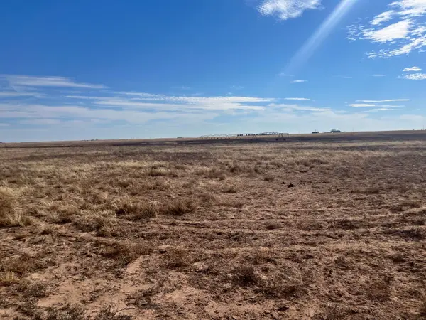 0 Fm 1317, New Home, TX 79383