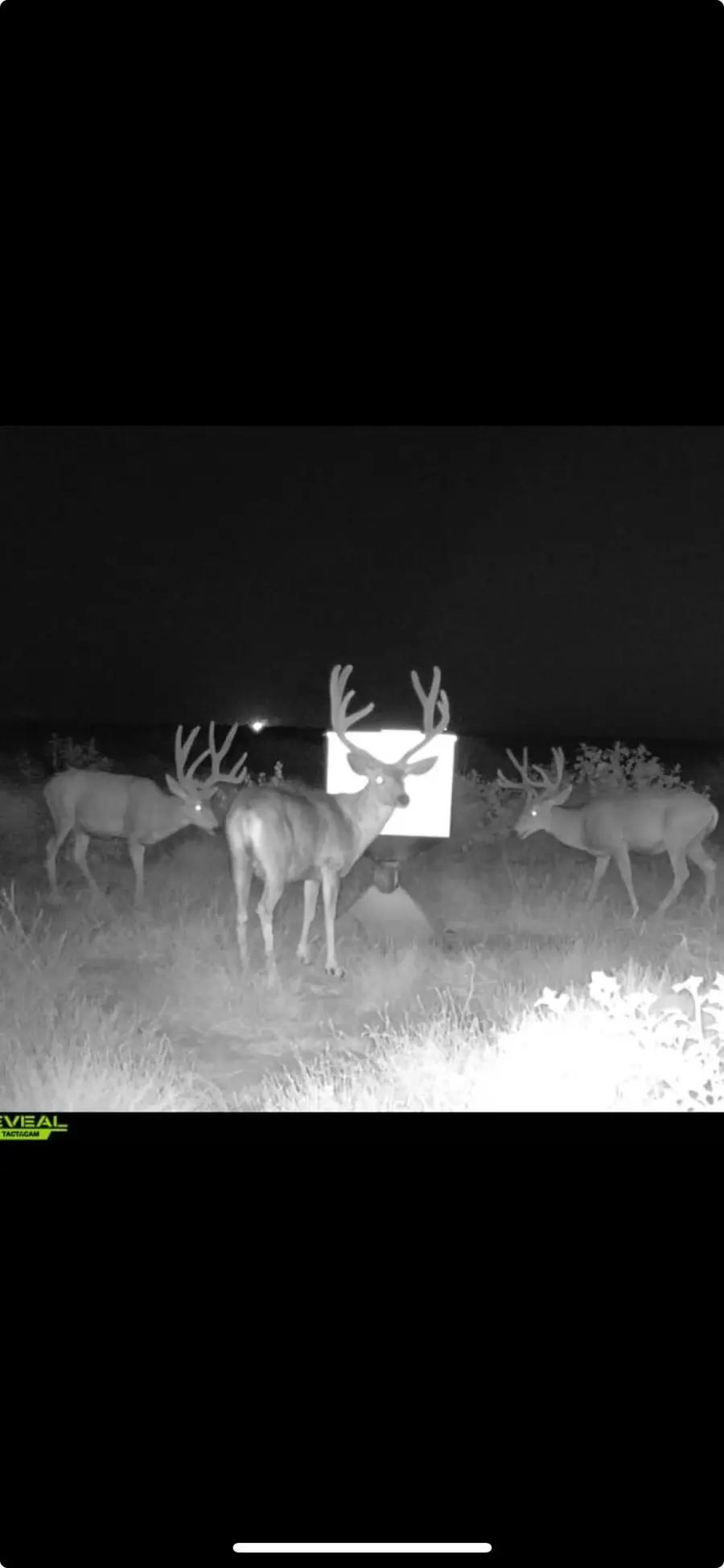 FM 2182 Fm 2182, Morton, TX 79346 - Image #2