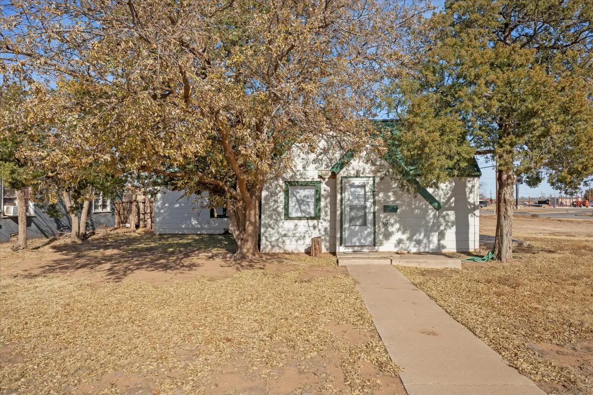 301 Austin Street, Levelland, TX 79336 - Image #1