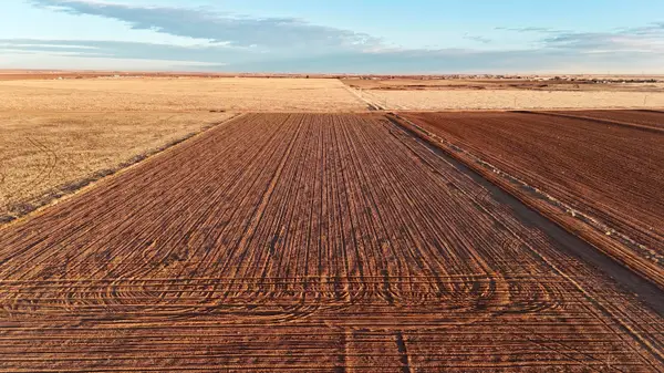 County Rd 5500, Shallowater, TX 79363