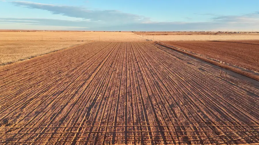 County Rd 5500, Shallowater, TX 79363 - Image #2