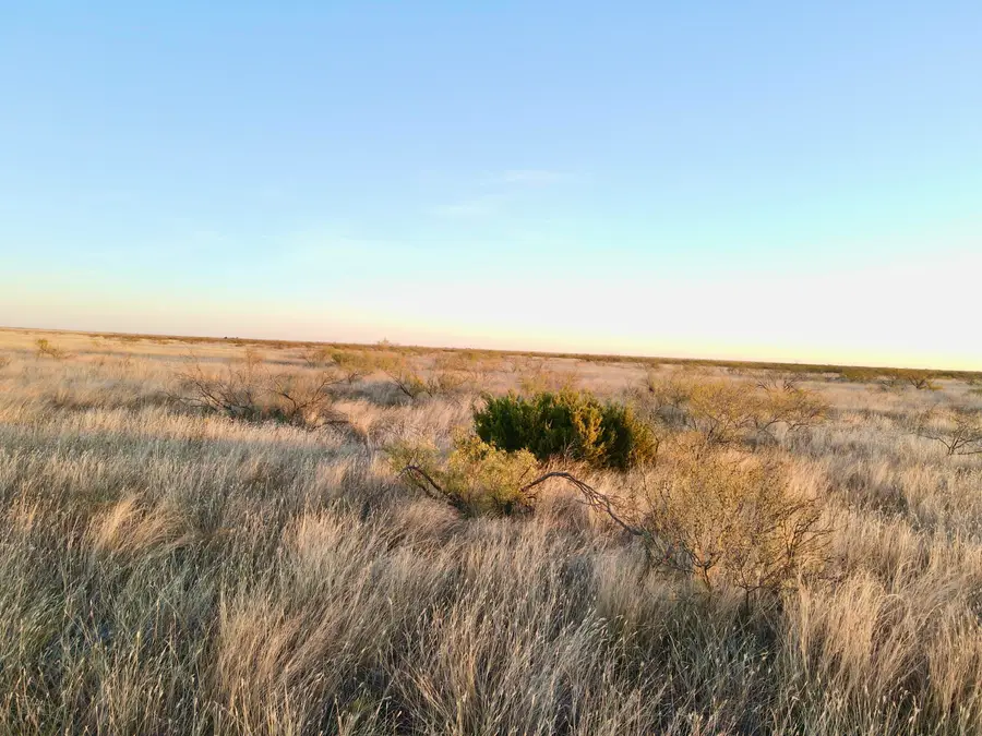 80 Acres County Road G, Silverton, TX 79257 - #3