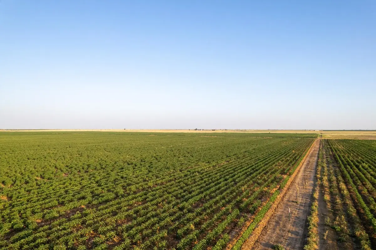 0 Shepard Street, Abernathy, TX 79311 - #1