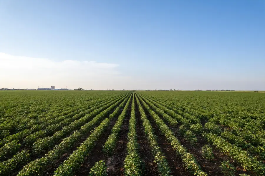 0 Shepard Street, Abernathy, TX 79311 - #2