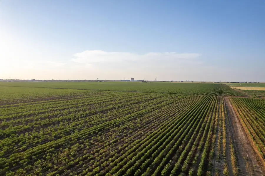 0 Shepard Street, Abernathy, TX 79311 - #3