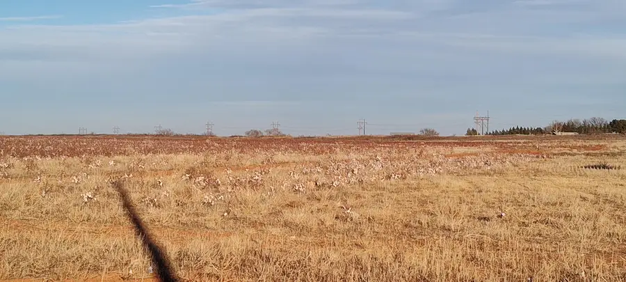 0 Lot #5 Cr 305, Wellman, TX 79316 - #3