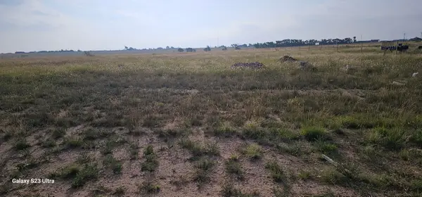 Pr Anthony, Shallowater, TX 79363