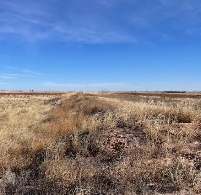 10 Lovebird Road, Smyer, TX 79367 - Image #2