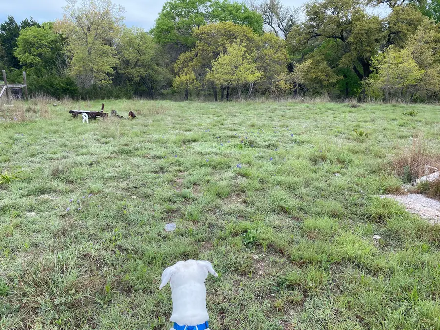 175 W Bear Creek Road, Liberty Hill, TX 78642 - #3