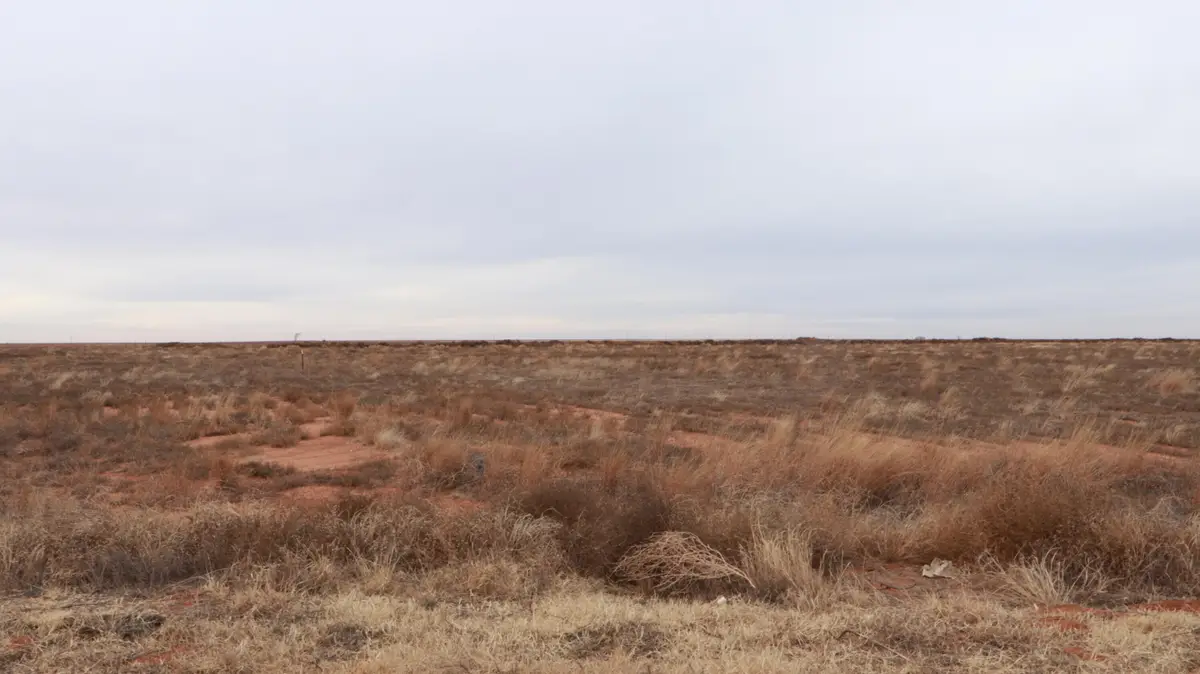 0 N 385 Highway, Whitharral, TX 79380 - #1