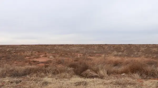 0 N 385 Highway, Whitharral, TX 79380