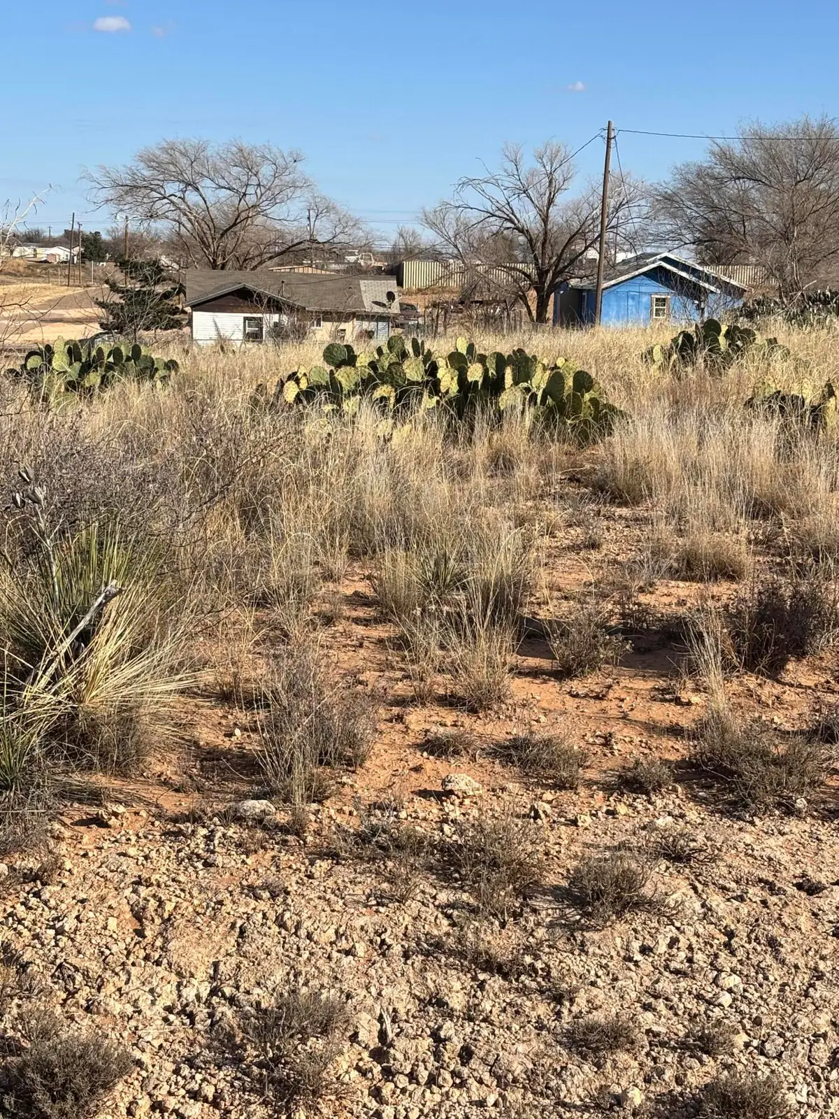 504 S 10th Street, Brownfield, TX 79316 - Image #1