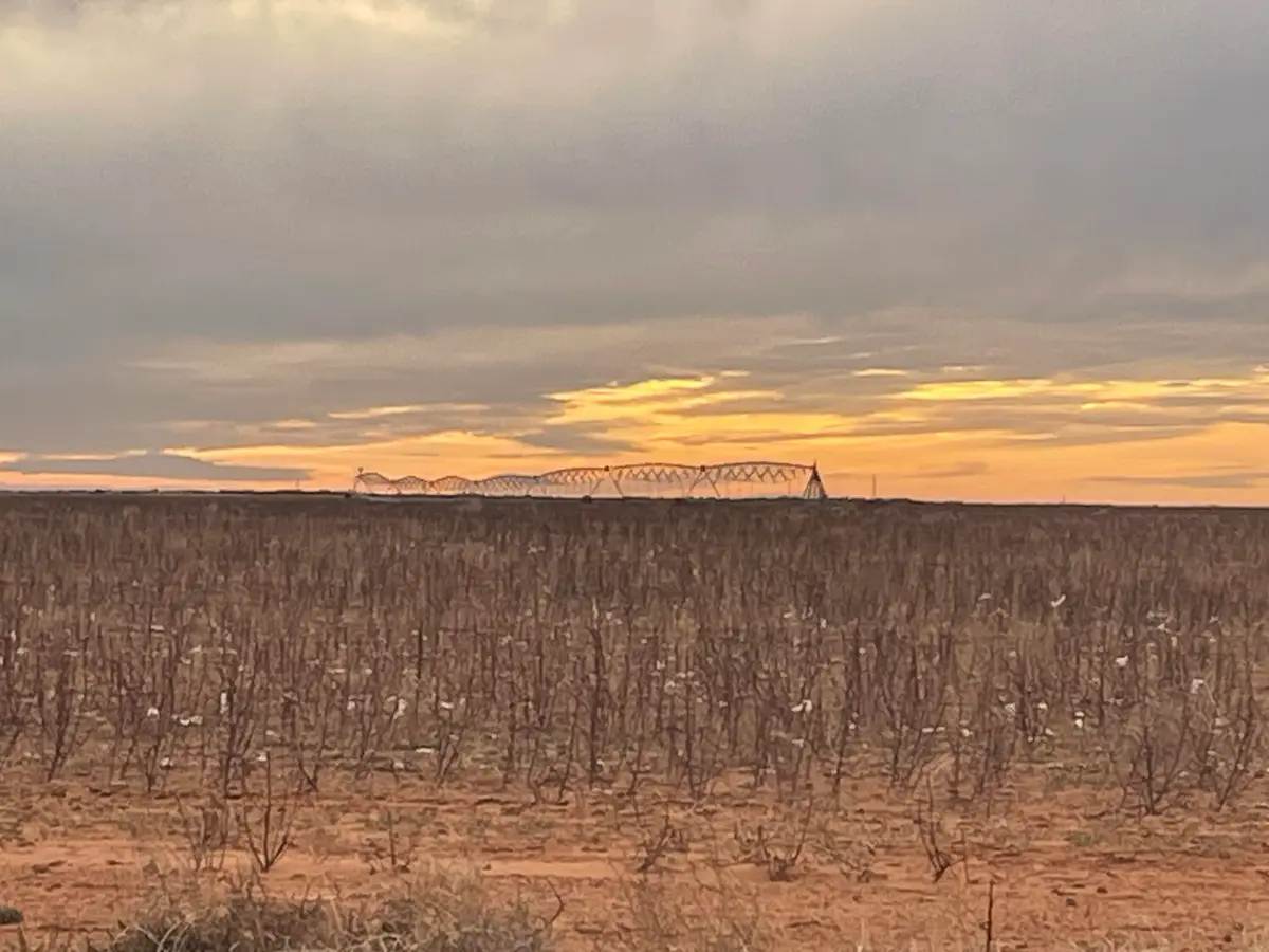 Cr 139, Loop, TX 79342 - #1