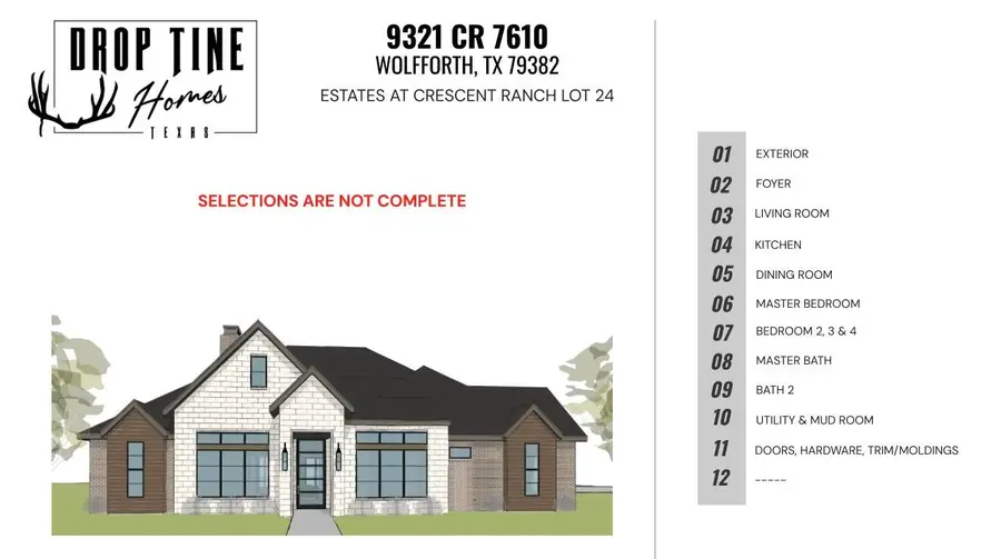 9321 County Road 7610, Wolfforth, TX 79382 - #2