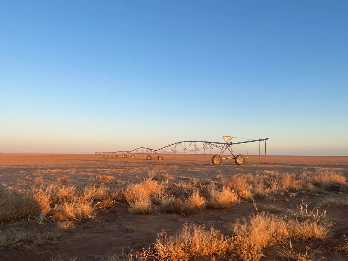 Cr 132, Loop, TX 79342 - #1