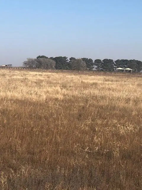 County Road 5700 County Road 5700, New Deal, TX 79350 - #3