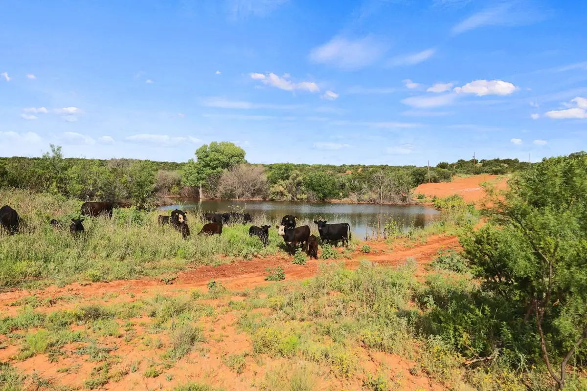 1441 Co Rd 362, Dickens, TX 79229 - #1