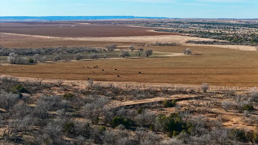 County Road Aa, Turkey, TX 79261 - #2