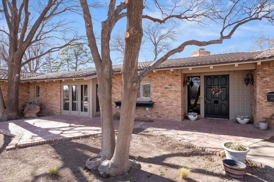 314 W 20th Street, Muleshoe, TX 79347 - #3