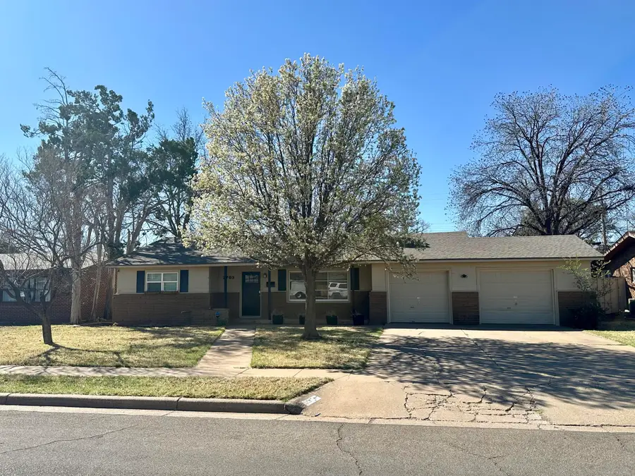 2703 38th Street, Lubbock, TX 79413 - #2