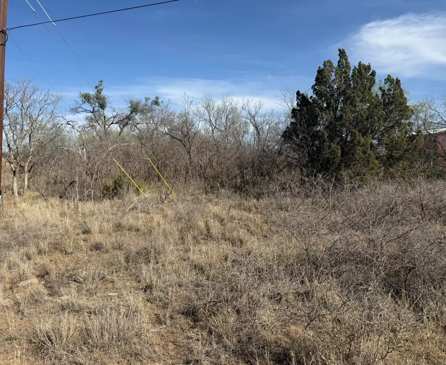 Rio Brazos Estates-2, Lot 95, Snyder, TX 79549 - #3