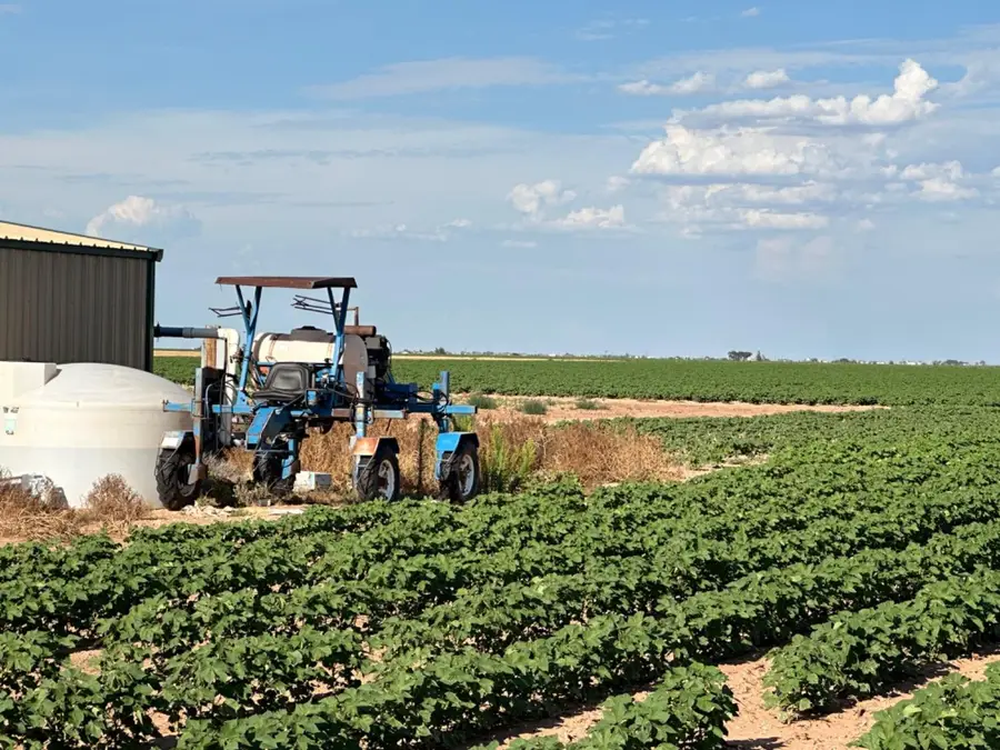 4083 Hawk Road, Ropesville, TX 79358 - #3