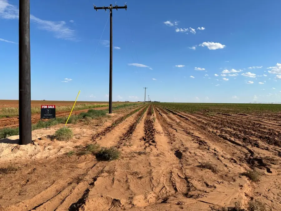 Dove, Ropesville, TX 79358 - #2