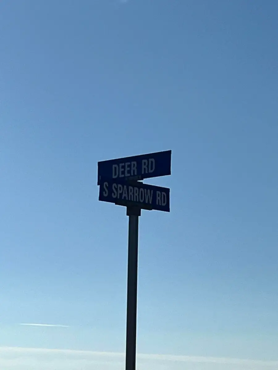 3140 Sparrow Road, Lubbock, TX 79407 - #2