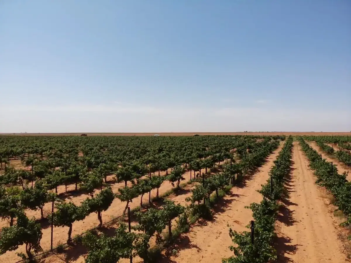 1 Us-380, Brownfield, TX 79316 - #1