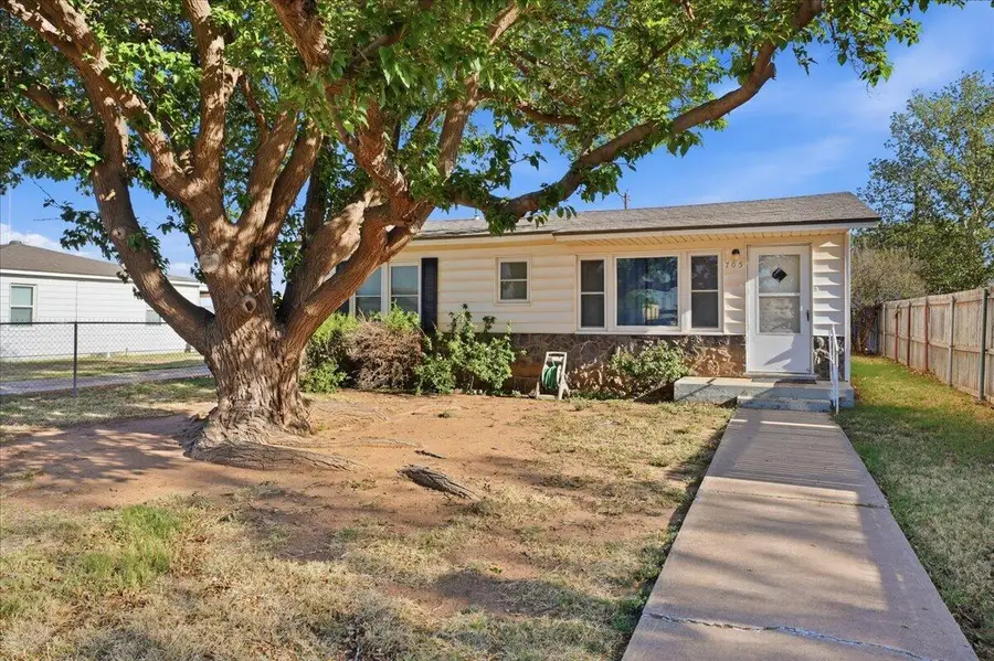 705 11th Street, Shallowater, TX 79363 - #2