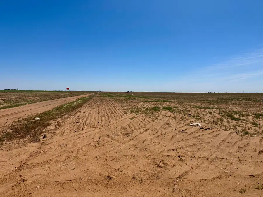 Rabbit, Ropesville, TX 79358 - #2