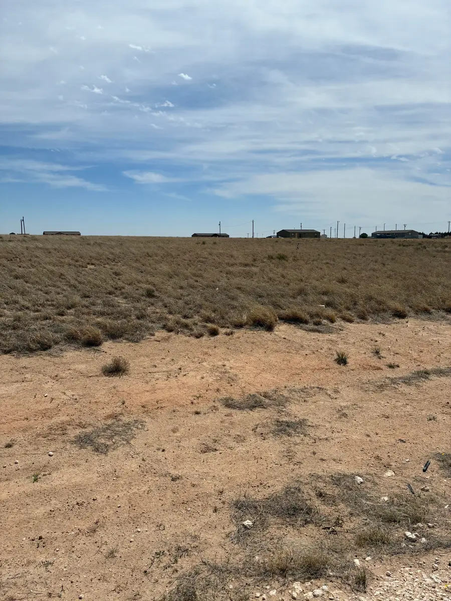 148 Bent Tree Road, Levelland, TX 79336 - #3