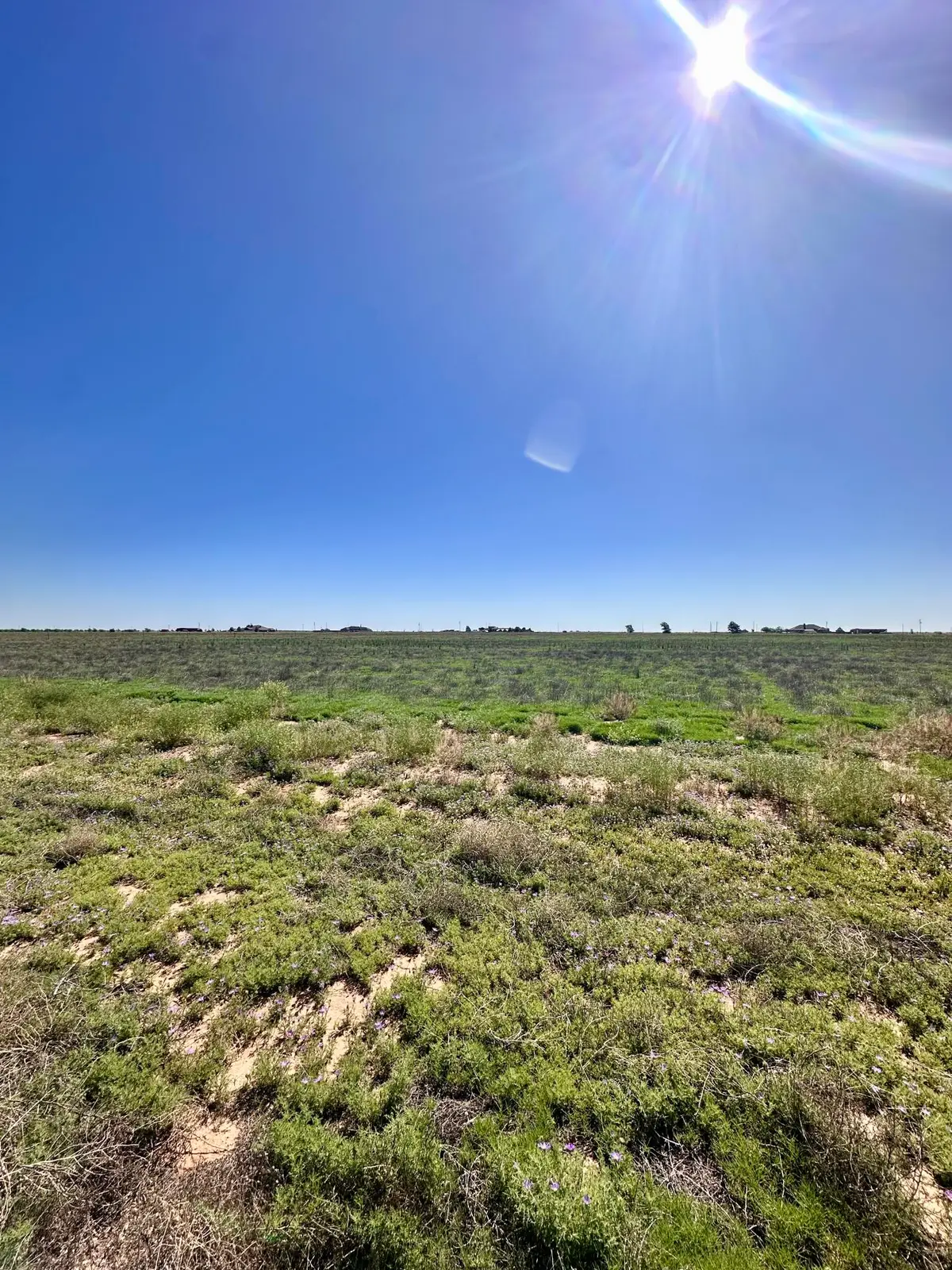 MCMILLAN FARMS, TR 10, AB Mcmillan Farms, Levelland, TX 79336 - #1