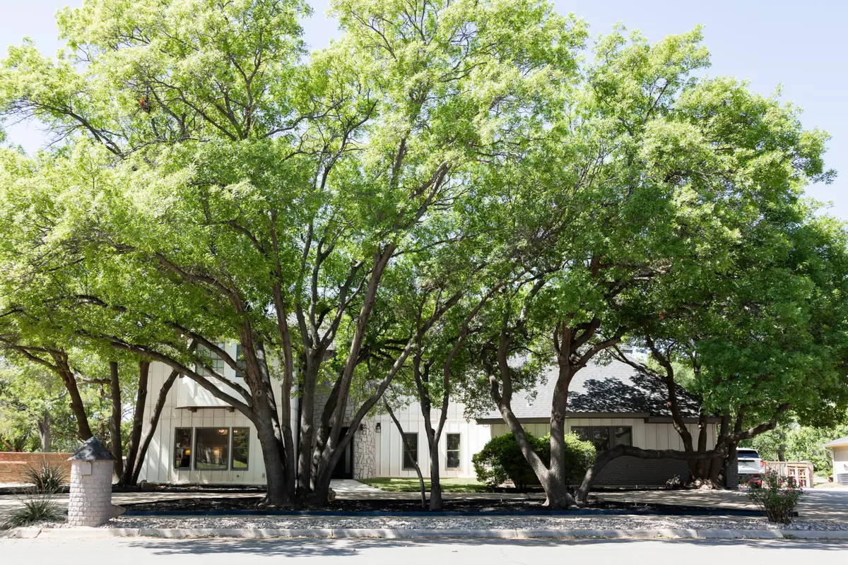 8432 Wayne Avenue, Lubbock, TX 79424 - #1
