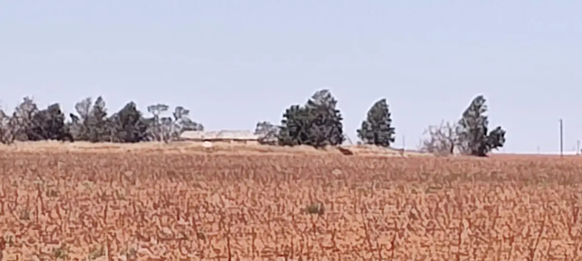 0 Cr 345, Meadow, TX 79345 - #1