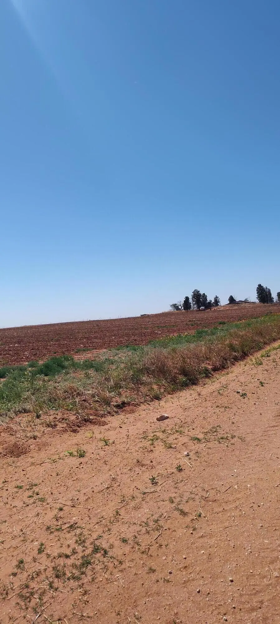 0 Cr 345, Meadow, TX 79345 - #3