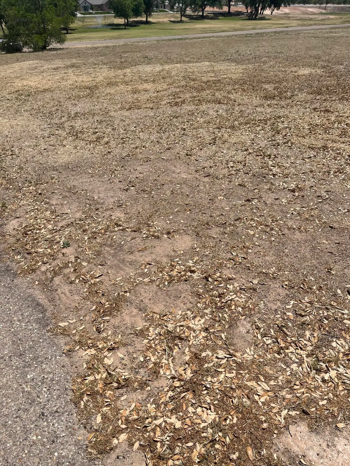 411 Mill Road, Lubbock, TX 79403 - #1