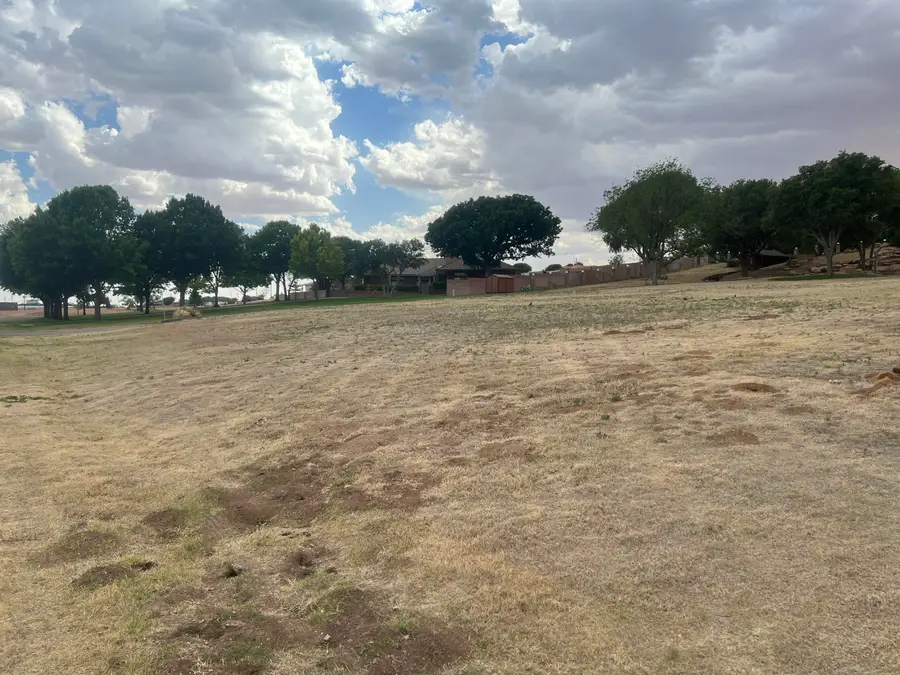 411 Mill Road, Lubbock, TX 79403 - #3