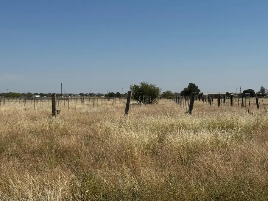 0 Fm 1264, New Deal, TX 79350 - #3