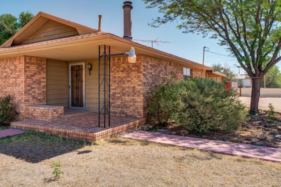 204 Igoe Avenue, Anton, TX 79313 - #2