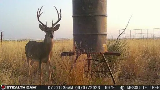 County Road 7, Turkey, TX 79261 - #2