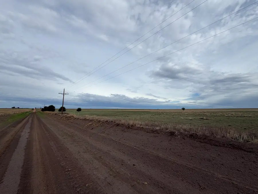 E County Rd 5200, Petersburg, TX 79250 - #2