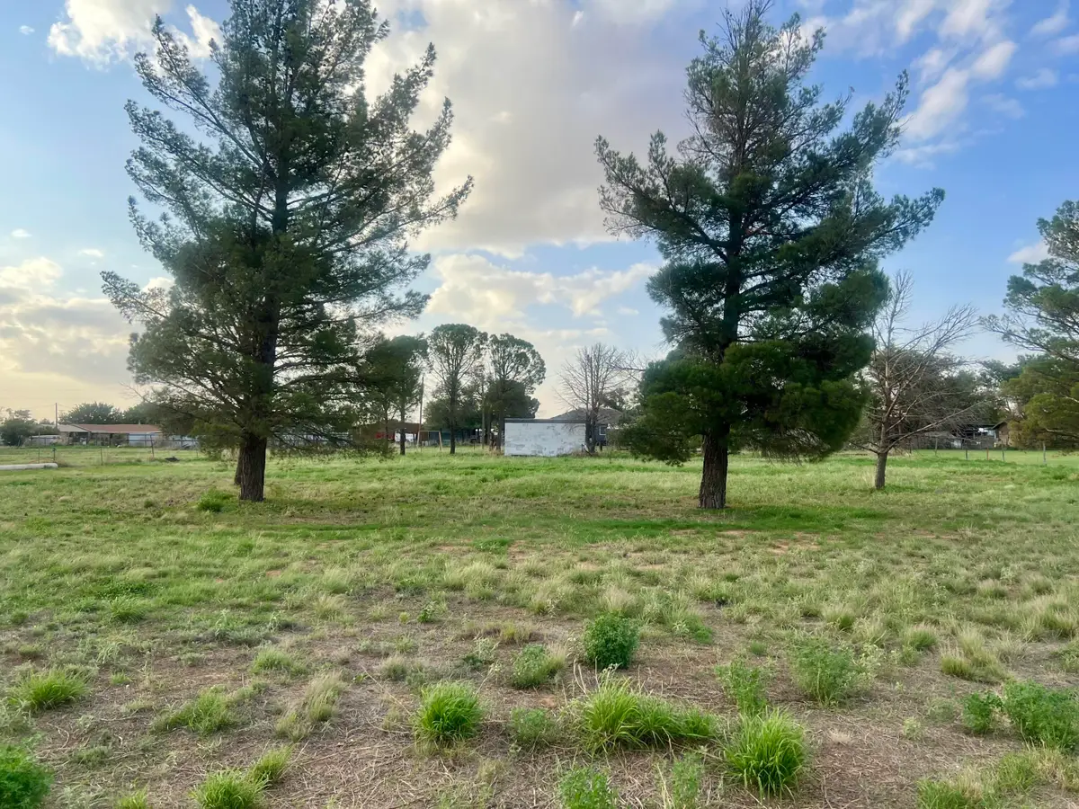 6103 E County Road 6470, Lubbock, TX 79403 - #1