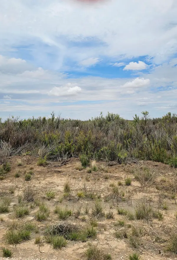 Lot 4 and 5 Douglas Farms Tanner, Brownfield, TX 79316